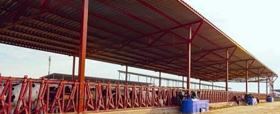 انواع سوله قوسی و مزایای آن