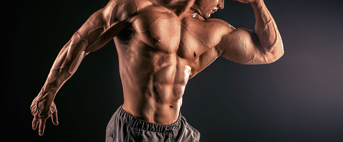 تأثیر بر سنتز پروتئین و رشد عضلات