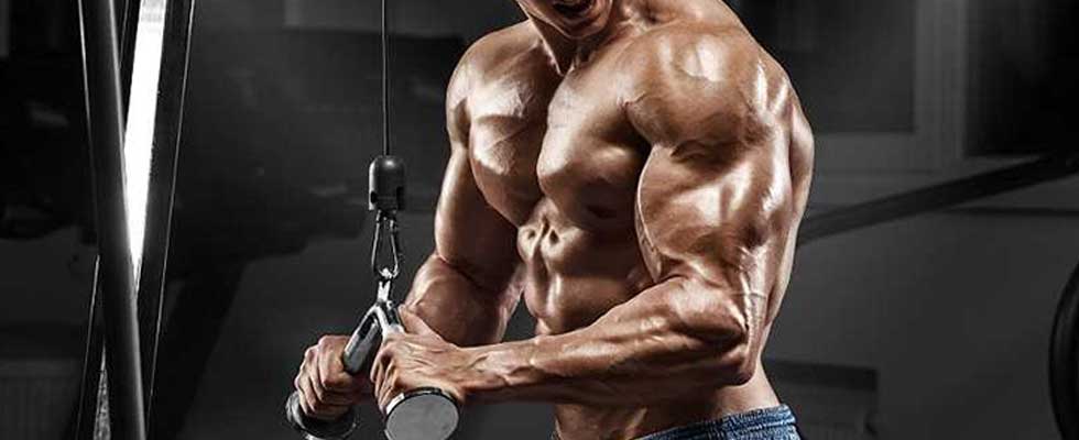 معرفی کامل محصولات استروئیدی برند مکمل
