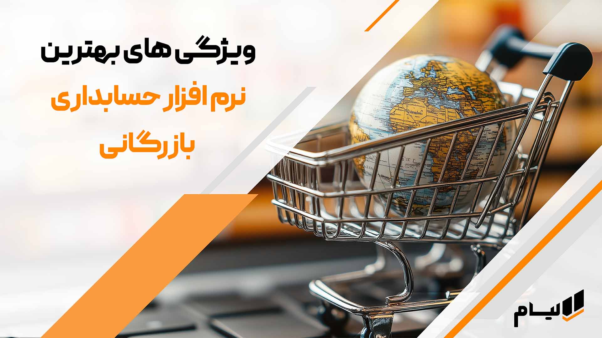ویژگی نرم افزار بازرگانی لیام