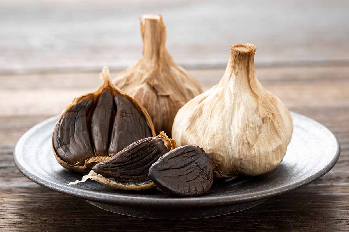 عکس سرم سیر سیاه لاکچری کوین