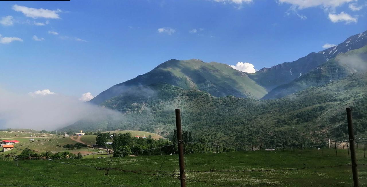 طبیعت | جنگل روستای الیت مازندران