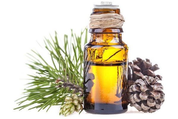 روغن کاج چیست و چه کاربردهایی دارد؟ | راهنمای خرید و مصرف