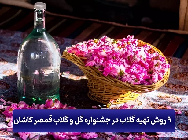 جشنواره |کاشان