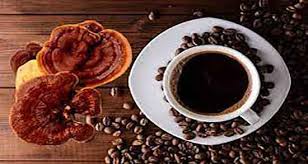 انواع قهوه گانودرما و خواص آن