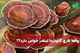 آیا قارچ گانودرما برای زگیل تناسلی خوب است؟