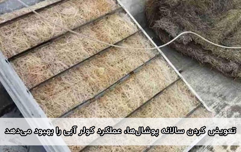 چرا کولر آبی بوی ماهی میده؟
