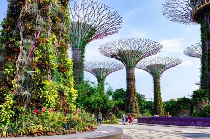 باغ های کنار خلیج